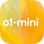o1 Mini